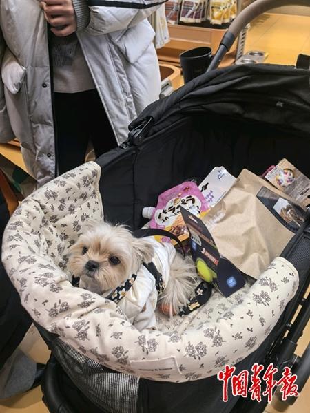 “智能”养华体会- 华体会体育官网- 体育APP下载宠背后的伪科技与真痛点