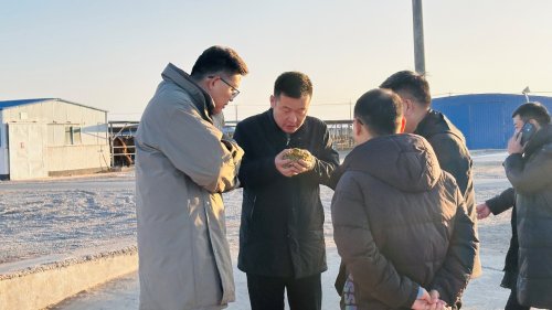 中国食药安全促进会赴新疆开展驼乳产业溯源调研纪实